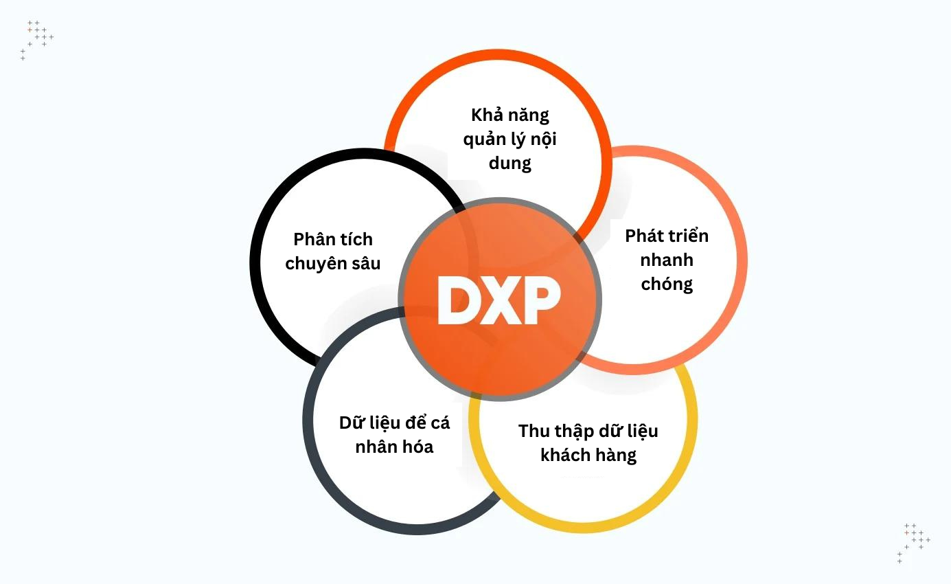 DXP gồm các hoạt động như: Thu thập dữ liệu khách hàng, phân tích, cá nhân hóa,...